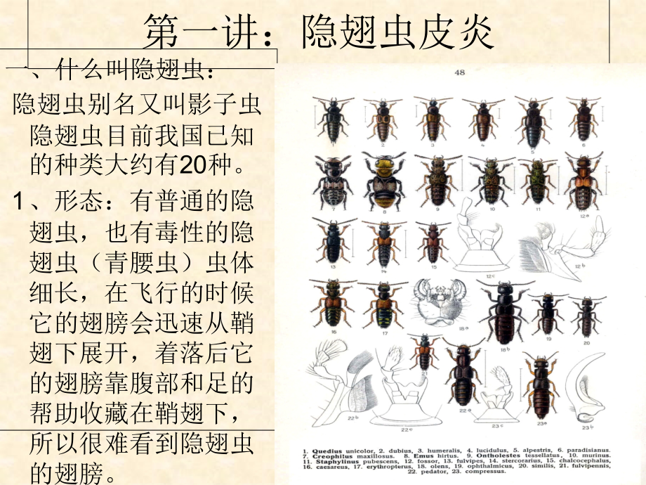 常见症状疾病.ppt_第1页