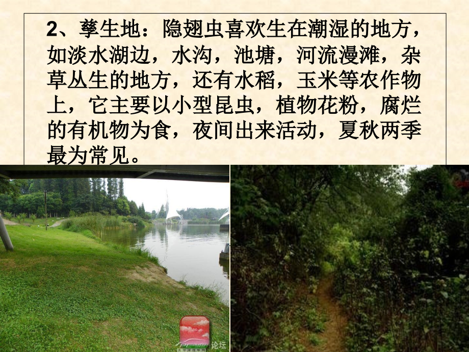 常见症状疾病.ppt_第2页