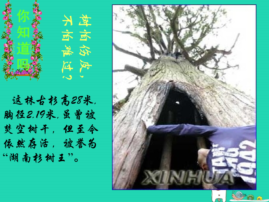 七年级生物上册3.5.5运输作用省公开课一等奖新名师优质课获奖课件.pptx_第2页