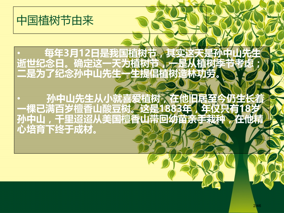 植树节主题班会多一片绿叶多一份温馨.pptx_第2页