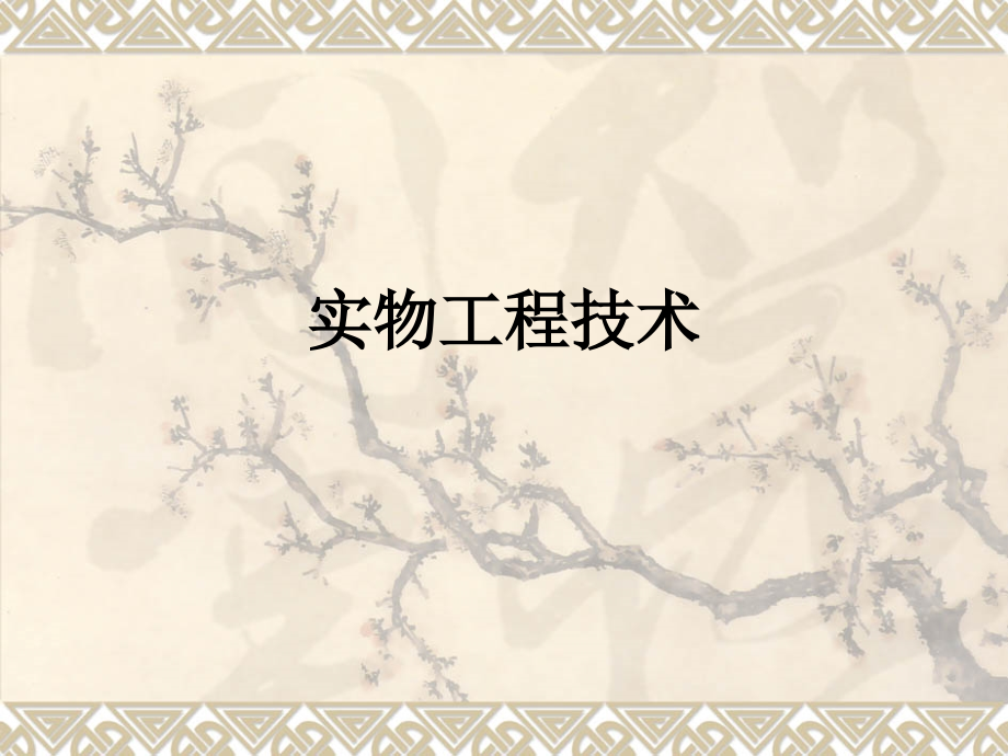 实物工程技术.ppt_第1页