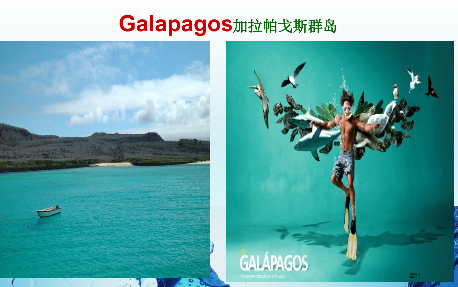 module7unit19LanguageAwareness4lonesomemaleoftheGa.pptx_第2页