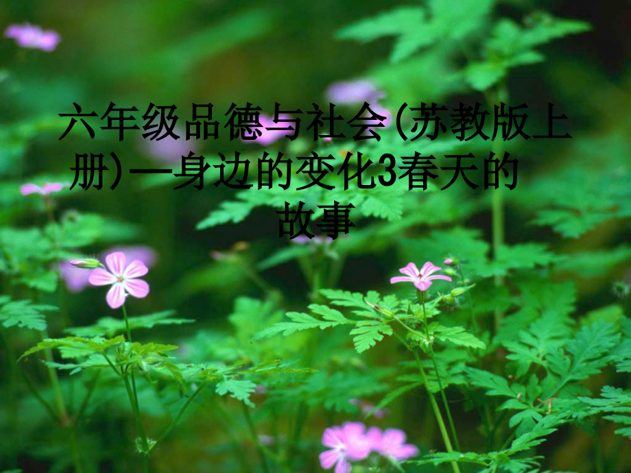 六年级品德与社会(苏教版上册)——身边的变化3春天的故事.ppt_第1页