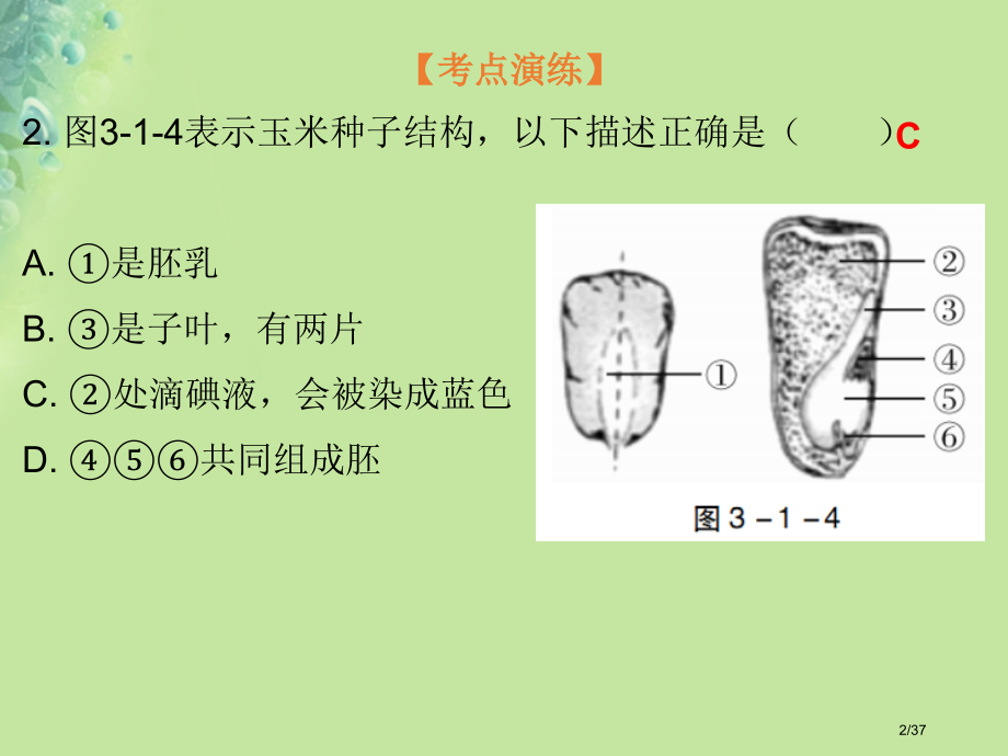 七年级生物上册第4章和6章第12节复习省公开课一等奖新名师优质课获奖课件.pptx_第2页