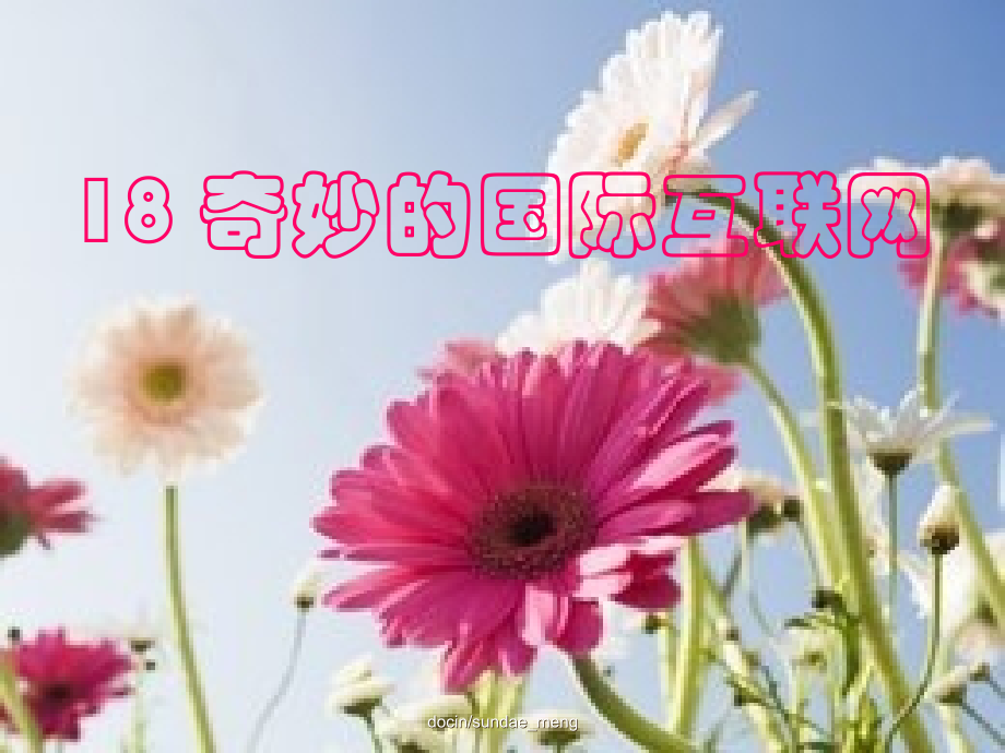 奇妙的国际互联网优秀PPT.ppt_第1页