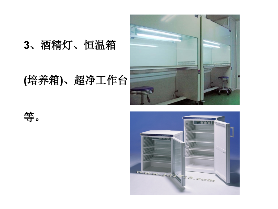 实验二、土壤中微生物的分离术-.ppt_第2页