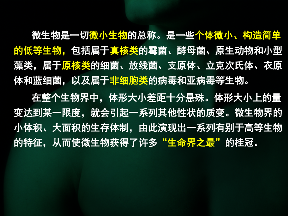 微生物学笔记.ppt_第2页