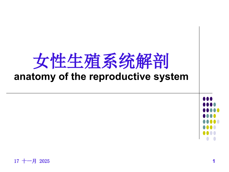 中英文女性生殖系统解剖.ppt_第1页