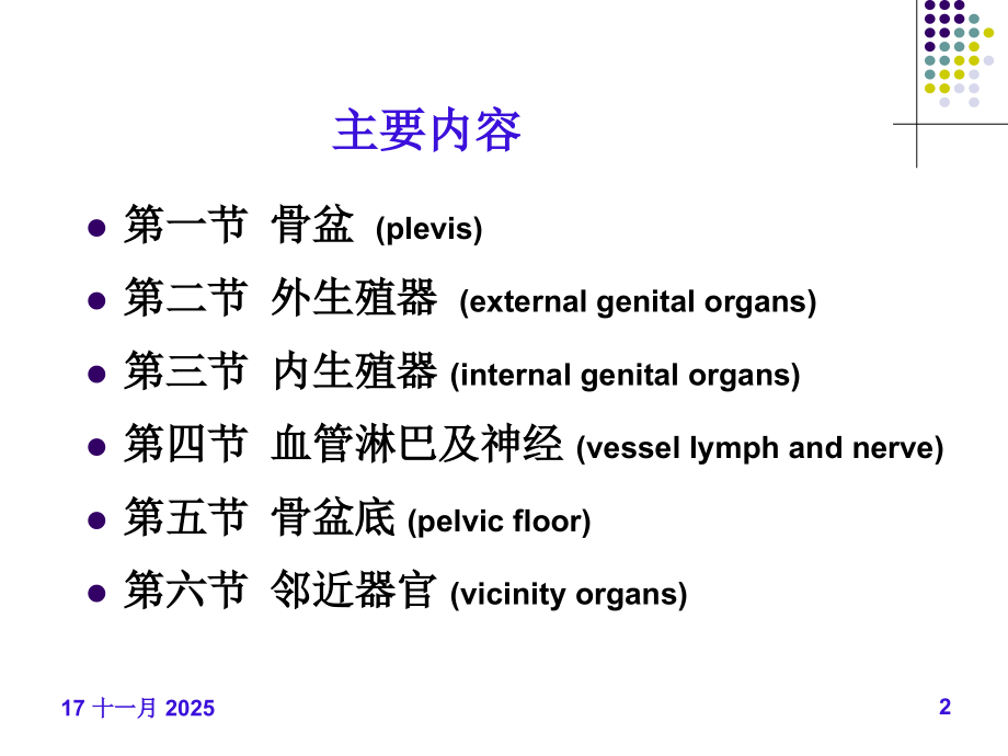 中英文女性生殖系统解剖.ppt_第2页
