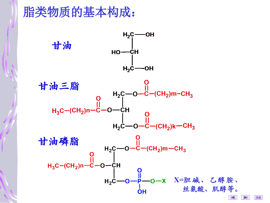 生物化学-脂类代谢.ppt_第2页