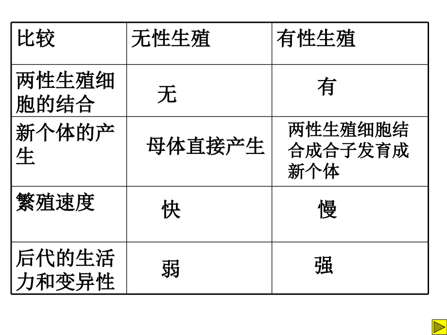 性的起源.ppt_第2页