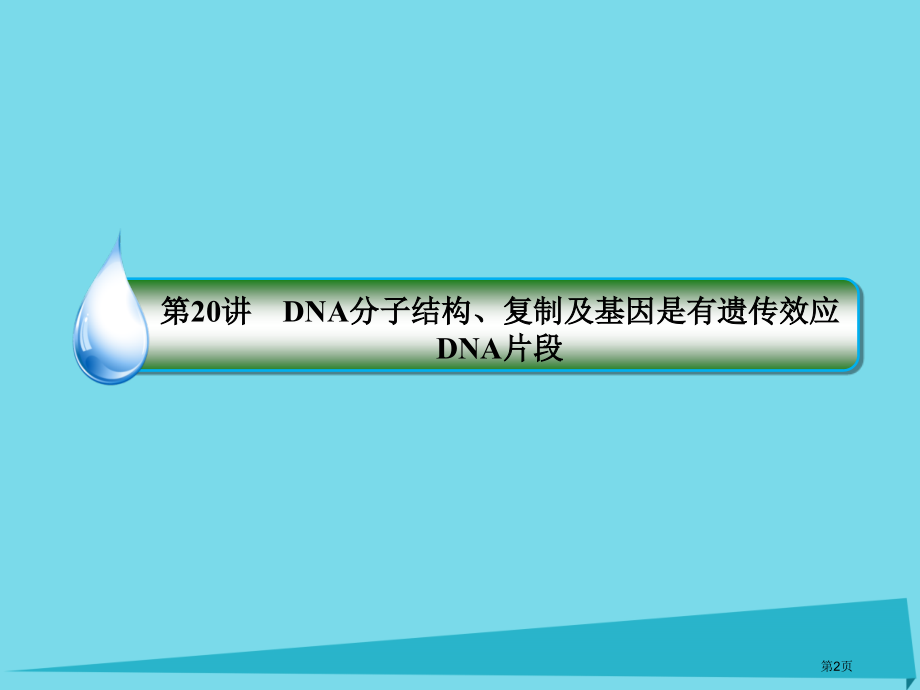 高考生物复习第六单元遗传的分子基础第20讲DNA分子的结构复制及基因是有遗传效应的DNA片段全国公开.pptx_第2页