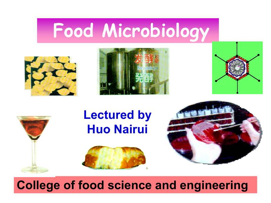 微生物学(绪论)88.ppt_第1页