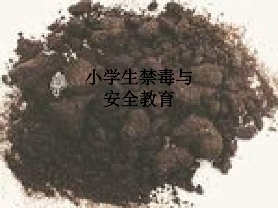 小学生禁毒与安全教育.ppt_第1页