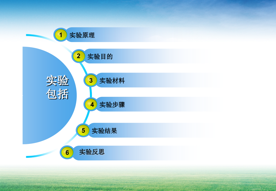 实验报告植物激素.ppt_第2页