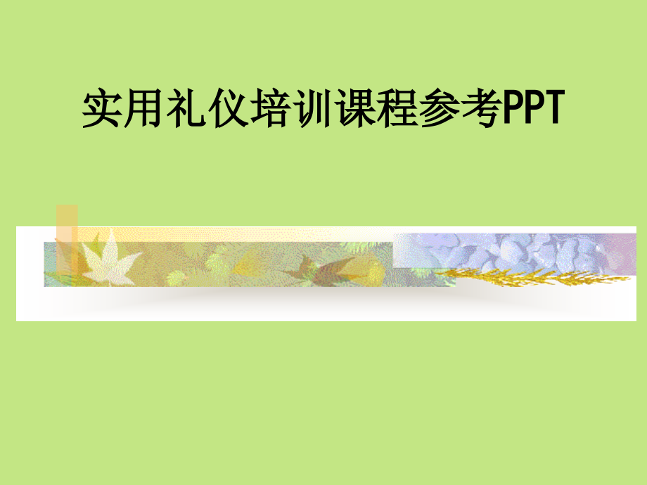 实用礼仪培训课程参考.ppt_第1页