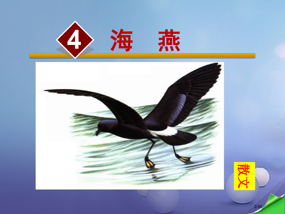 七年级语文下册第一单元2海燕省公开课一等奖新名师优质课获奖课件.pptx_第2页