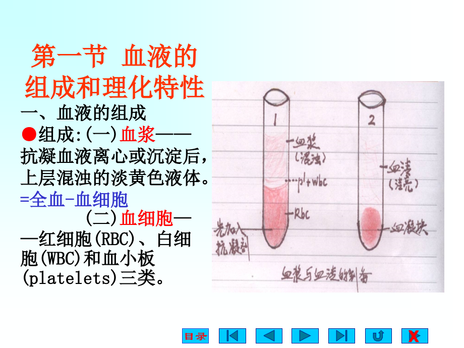 生理学第3章-血液.ppt_第1页