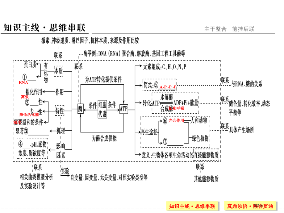 酶专题二轮复习市公开课一等奖省赛课微课金奖课件.pptx_第2页