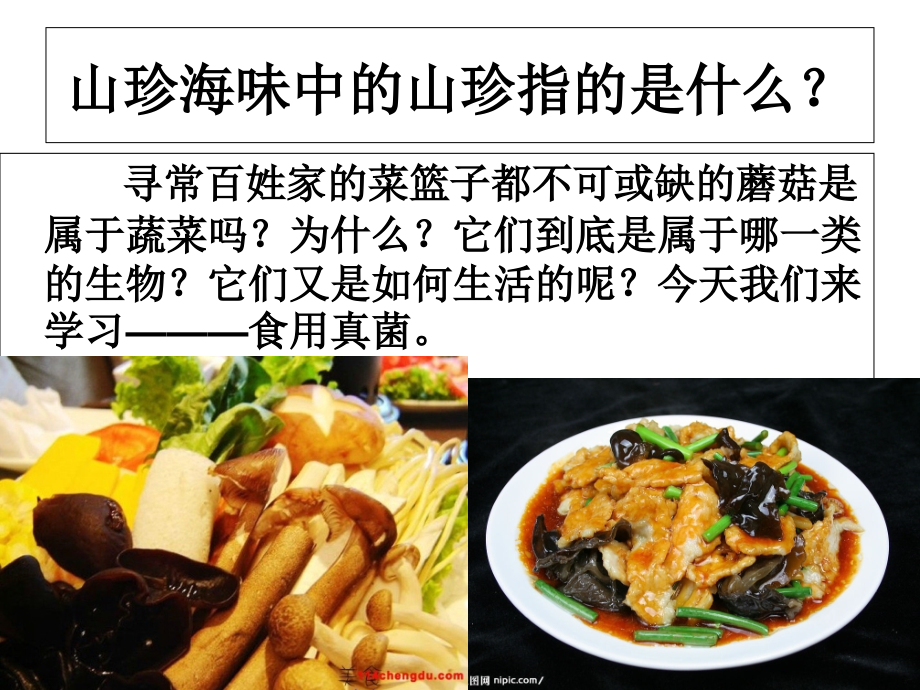 微生物-第二章-食用真菌-.ppt_第2页