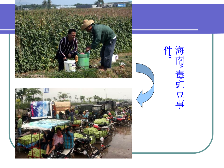 农产品安全知识讲座.ppt_第1页