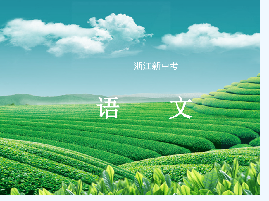 中考语文复习第二篇第二讲-非文学类作品阅读专题三-非连续性文本阅读市公开课一等奖市赛课金奖课件.pptx_第1页