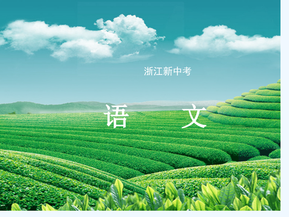 中考语文复习第一篇专题七-语言运用第三节-口语交际市公开课一等奖市赛课金奖课件.pptx_第1页