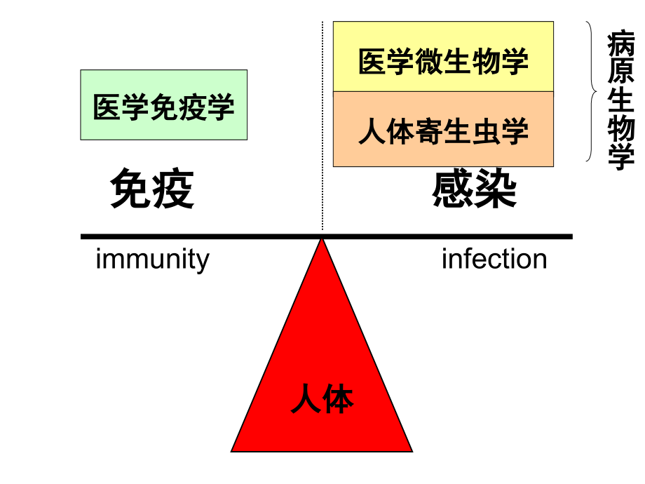 医学微生物学课件.ppt_第1页