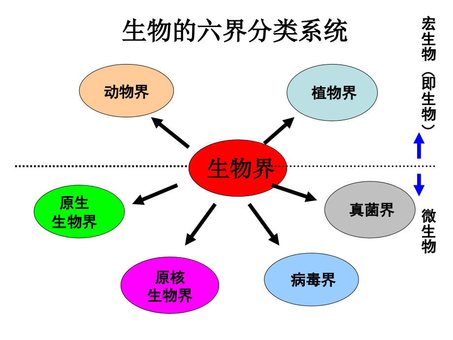医学微生物学课件.ppt_第2页