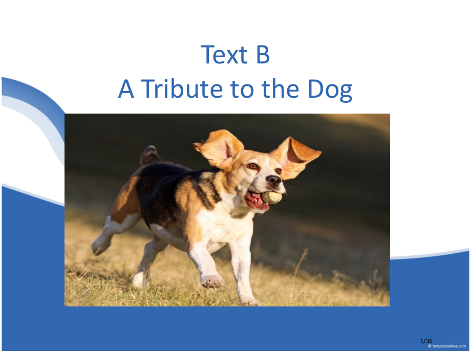 自考英语二unit3FriendshipandLoyalty;TextBATributetotheD.pptx_第1页