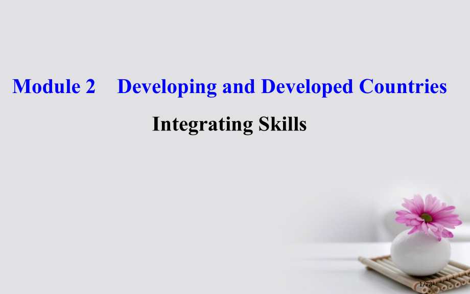 高中英语-Module-2-Developing-and-Developed-Countries-P.pptx_第1页