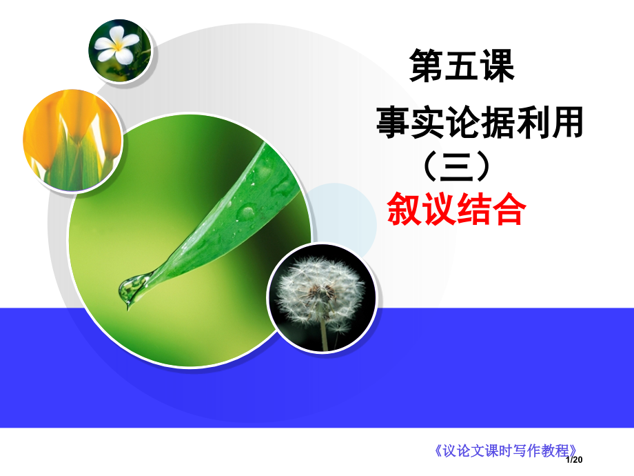 议论文课时写作教程5.事实论据的运用+叙议结合市公开课一等奖省赛课微课金奖课件.pptx_第1页