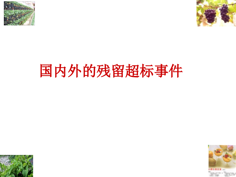 农药残留.ppt_第2页