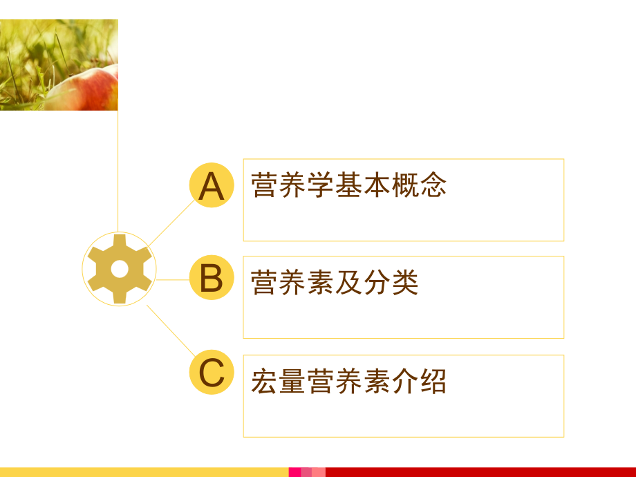 宏量营养素概论.ppt_第1页