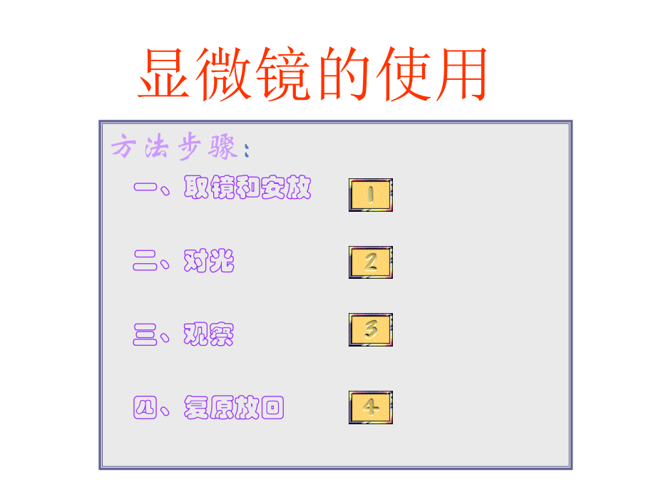 初一生物第二单元-生物体的结构层次复习课件-2.ppt_第1页