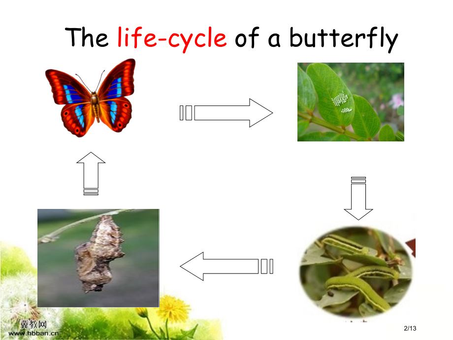 5BM1Unit2Ihavefivesilkworms市公开课一等奖省赛课微课金奖课件.pptx_第2页