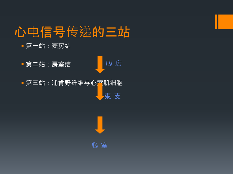 心电图实验课.ppt_第2页