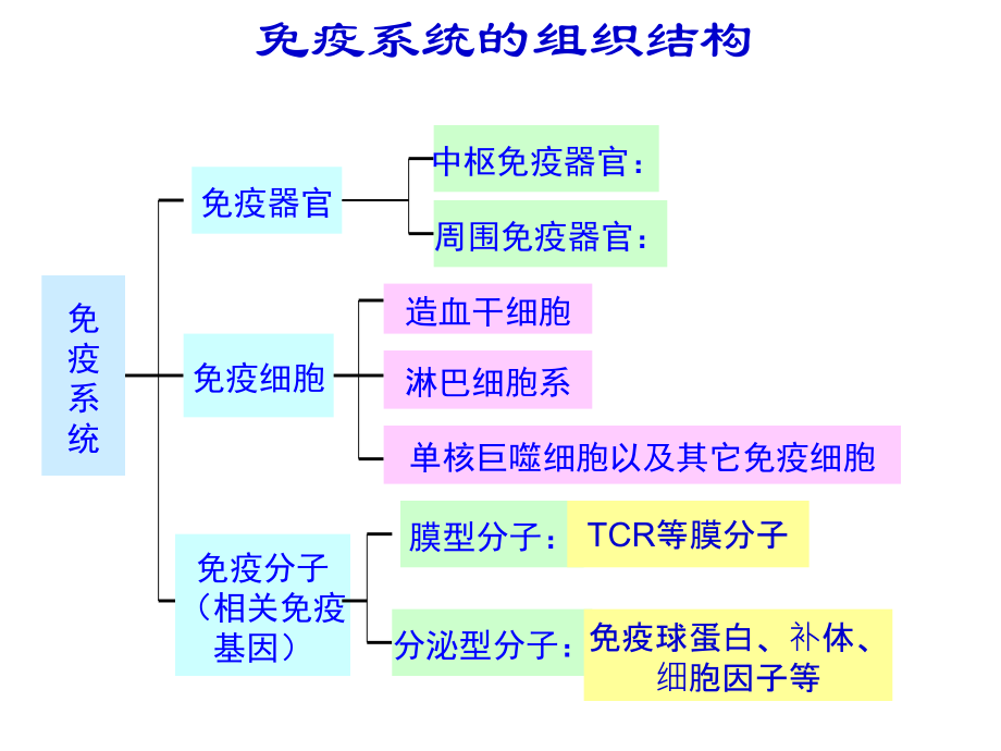医学免疫学-第三章-天然免疫分子-补体系统.ppt_第2页