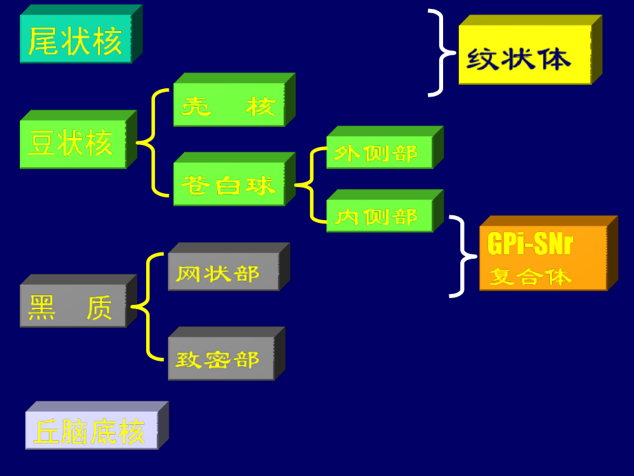 医学文库网-锥体外系疾病【41页】.ppt_第2页