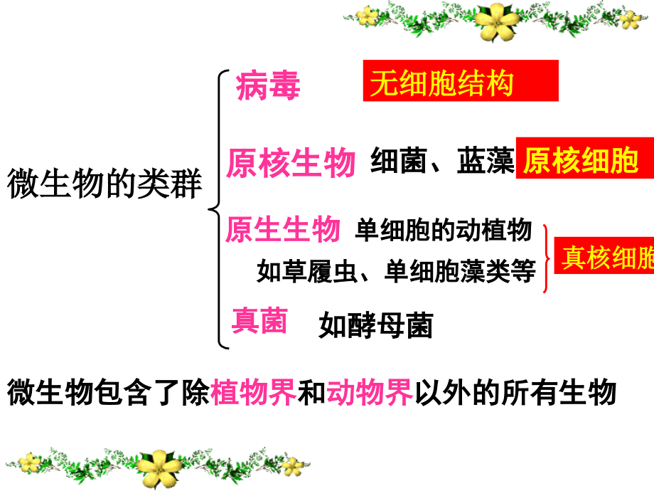 微生物的实验室培养终.ppt_第1页