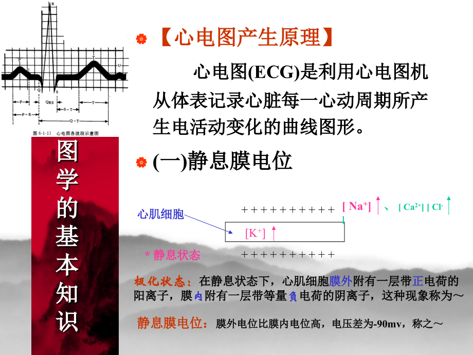 临床心电图基本的知识.ppt_第1页