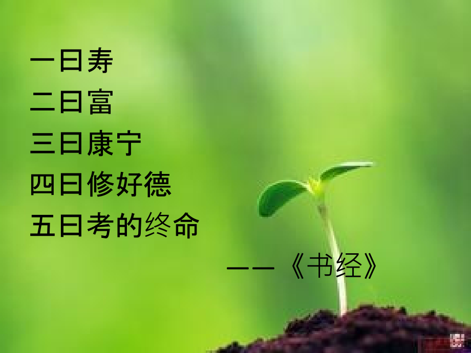 健康与财富.ppt_第2页