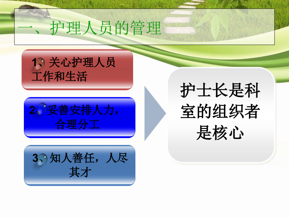 护理管理创新.ppt_第2页