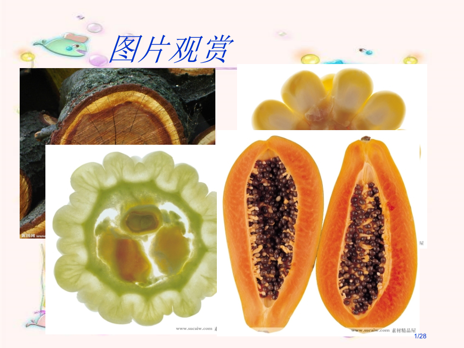 《1.3-截一个几何体》.pptx_第1页