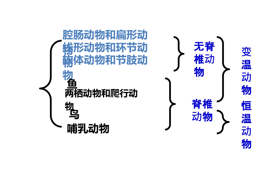 动物主要类群的特征及代表动物(1-5章复习).ppt_第2页