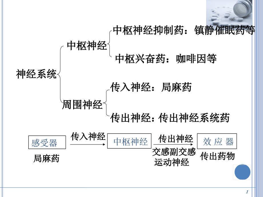 基础药理学-传出神经系统药理概论.ppt_第1页