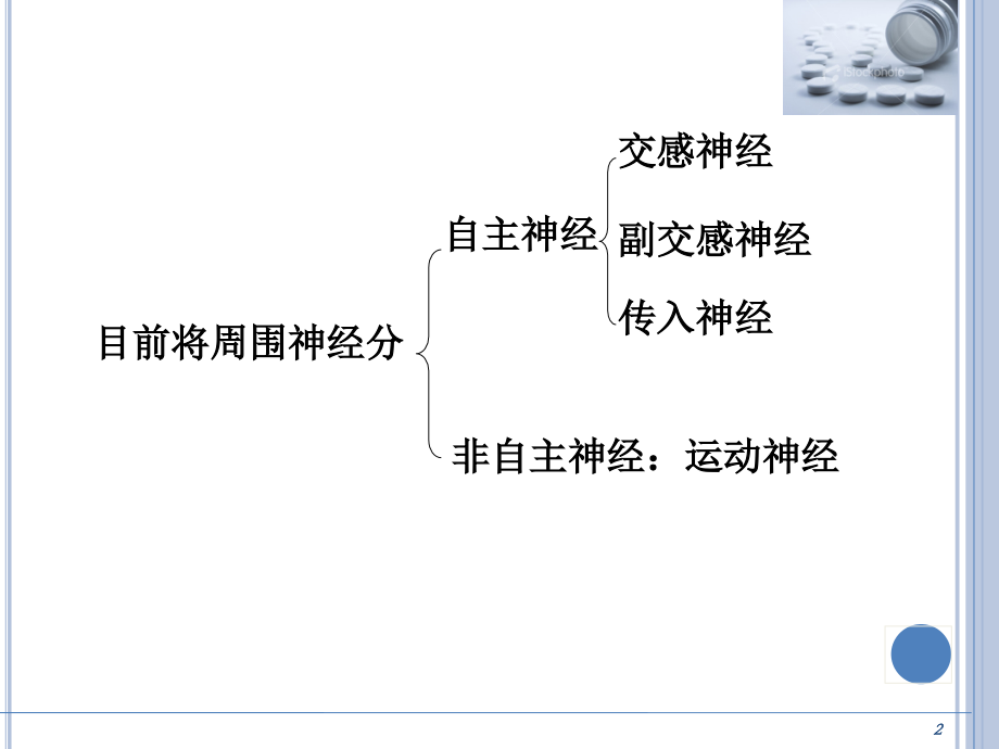 基础药理学-传出神经系统药理概论.ppt_第2页