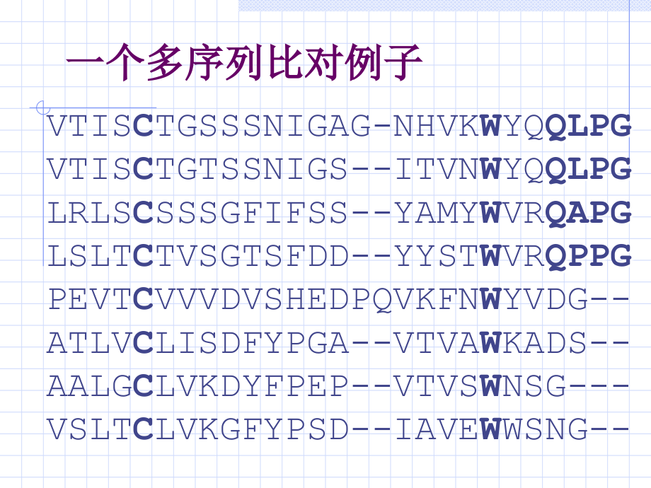 多序列比对.ppt_第2页