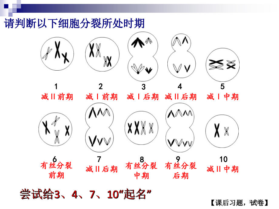 孟德尔遗传实验的科学方法市公开课一等奖省赛课微课金奖课件.pptx_第1页
