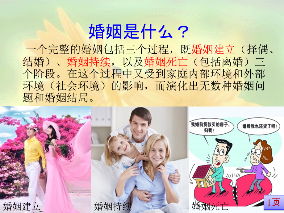 婚姻家庭与心理健康.ppt_第1页